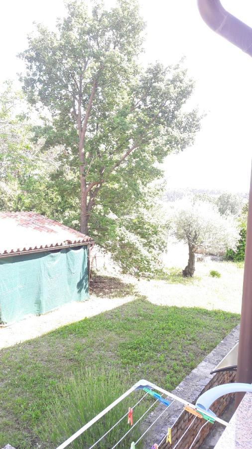 Apartment Radovan Poreč Exterior foto
